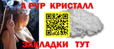 шишки Будённовск