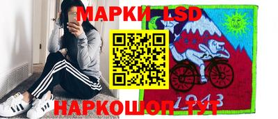 шишки Будённовск