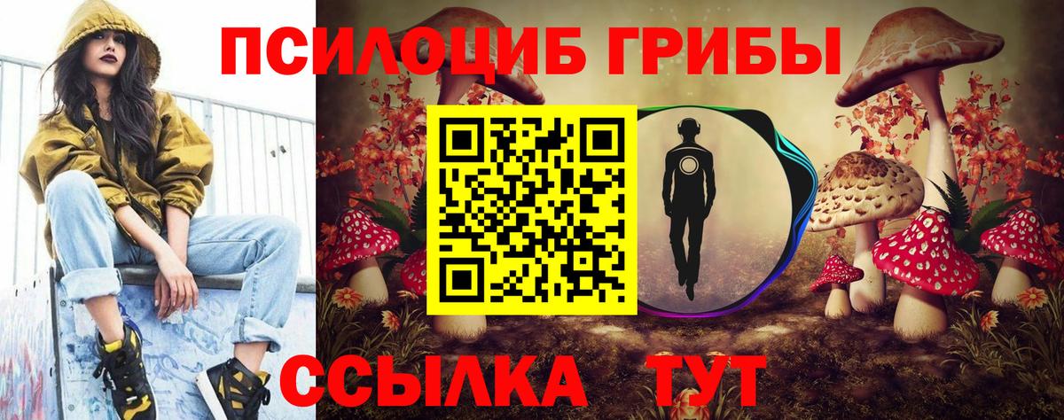 закладки  Вход с VPN  Шатура  Псилоцибиновые грибы мухоморы 