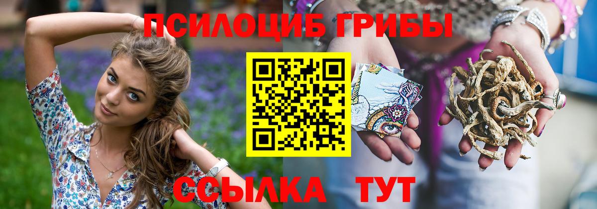 Галлюциногенные грибы Magic Shrooms Шатура